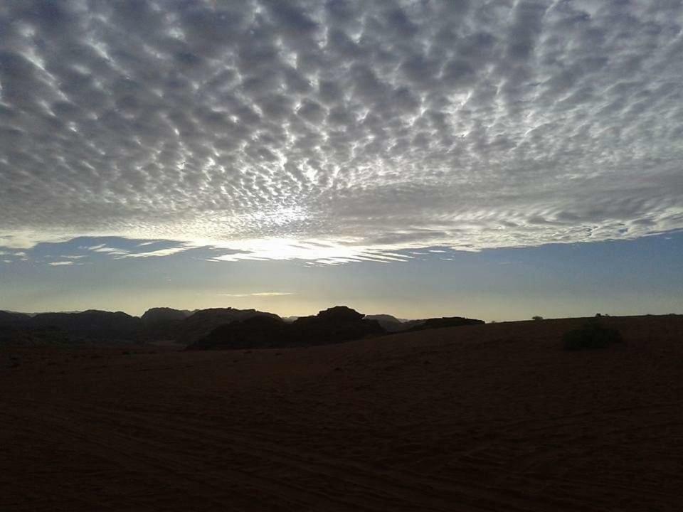 Wadi rum Local guide camp Wadi Rum Exterior foto